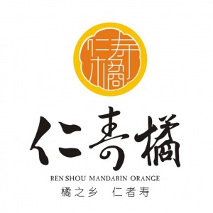 眉山在升廣告有限公司委托龍騰設(shè)計公司VI