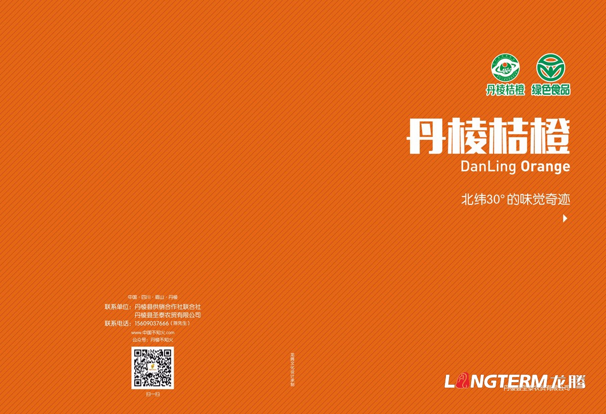 丹棱桔橙招商手冊設(shè)計|水果桔橙不知火春見清見愛媛38號春香桔柚產(chǎn)品項目招商畫冊設(shè)計