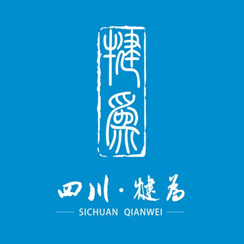 招商手冊設計-犍為工業(yè)園招商手冊設計|樂山高新區(qū)園區(qū)基地招商引資宣傳畫冊設計