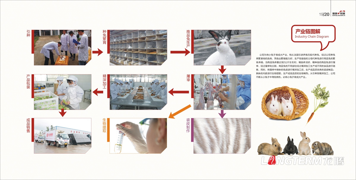 品山兔業(yè)形象畫冊設(shè)計|自貢市企業(yè)宣傳冊設(shè)計|鮮兔冷吃兔缺牙巴兔九刀兔休閑食品宣傳畫冊設(shè)計