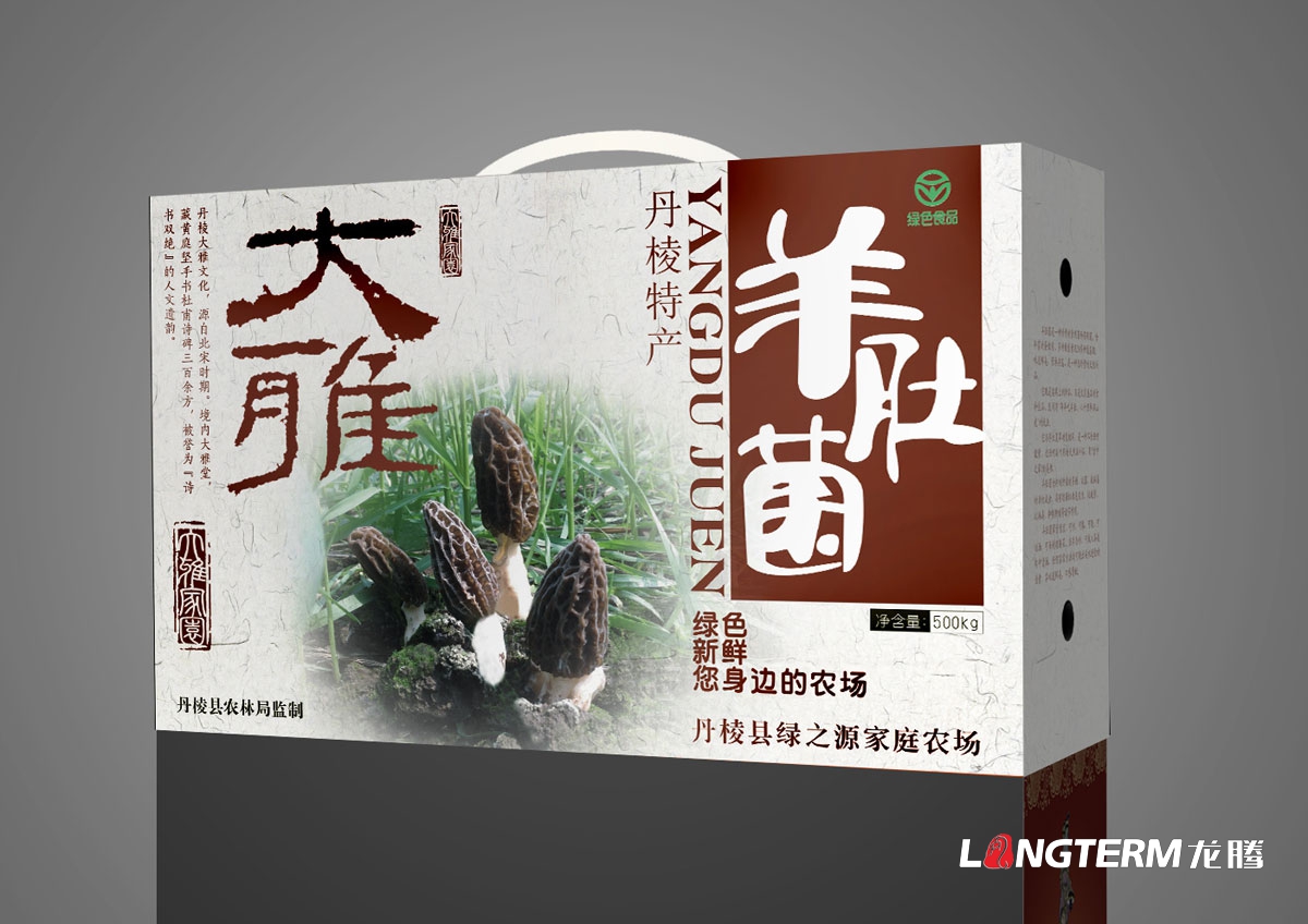 丹棱大雅羊肚菌包裝設計|養(yǎng)生保健品山珍菌類包裝禮盒設計效果圖|丹棱特色產品菌類包裝