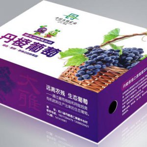 成都創(chuàng)意水果禮盒包裝盒子設(shè)計印刷公司