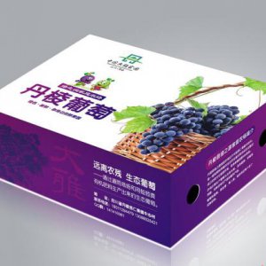 食品包裝創(chuàng)意設計的三大基本要求