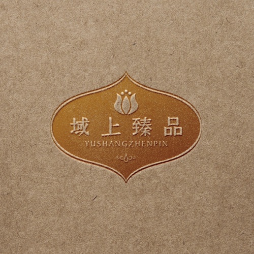 VI設(shè)計(jì)-域上臻品品牌logo及vi形象設(shè)計(jì)_成都企業(yè)品牌標(biāo)志商標(biāo)創(chuàng)意視覺提升方案_品牌視覺符號(hào)提煉及字體設(shè)計(jì)