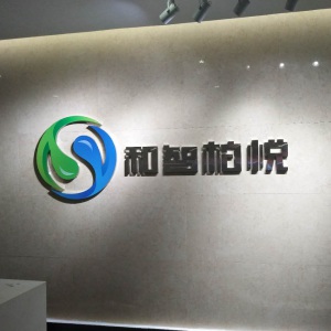 成都和智柏悅科技有限公司logo設(shè)計正在進行中