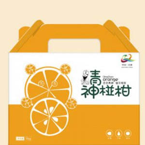 廣告品牌策劃公司能夠解決多重問題