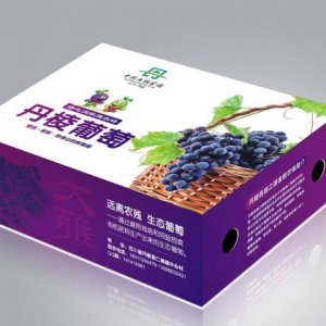 產品營銷策劃方案怎么寫？