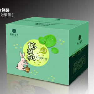 產品市場營銷策劃