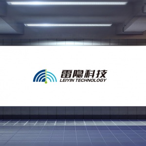 龍騰正在為成都雷隱科技有限公司設計公司品牌形象